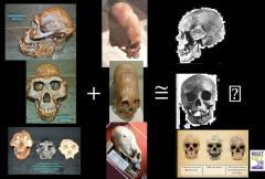 craneos largos hibridos de et y neandertales