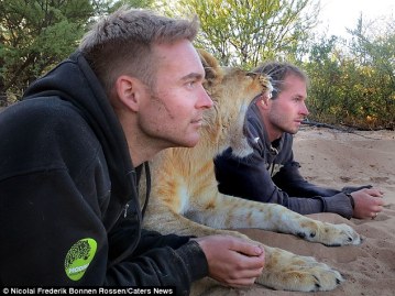 Mikkel Valentin y Sirga su leona adoptada